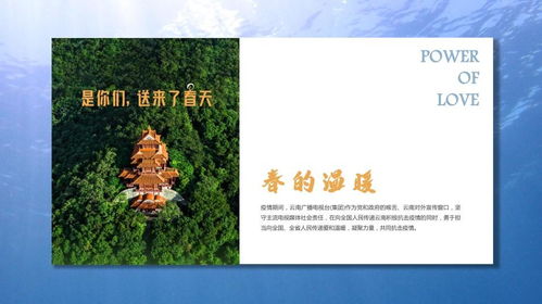 2021云南电视产品营销广告 电视广告.